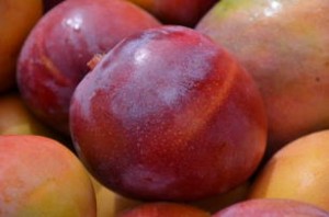 fruta - manga exporTAÇÃO