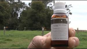 homeopatia para bovinos 1