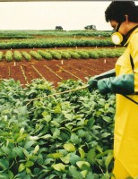 Recomendações para evitar os riscos durante o uso na aplicação de defensivos agrícolas