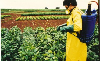 Recomendações para evitar os riscos durante o uso na aplicação de defensivos agrícolas