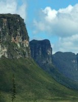 Mais um ano de emergência fitossanitária para a Bahia