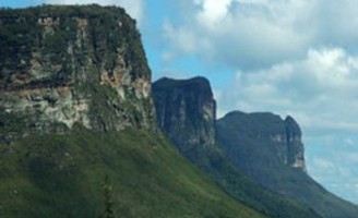 Mais um ano de emergência fitossanitária para a Bahia