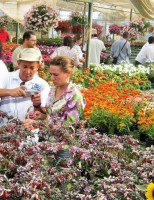 Curso sobre cultivo de flores pode ser feito à distância