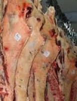 Brasil supera as dificuldades para exportar carne para a Arábia Saudita