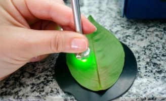Especialistas usam a Luz para avanços tecnológicos em plantas, citros e solos