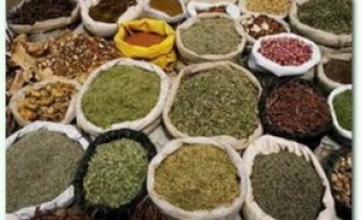 Medicamentos naturais são importantes defensivos contra parasitas