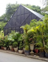 Treinamento de graça para quem deseja se especializar em floricultura