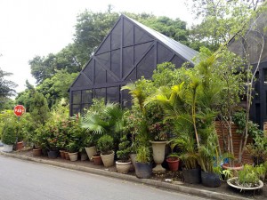 floricultura2_606