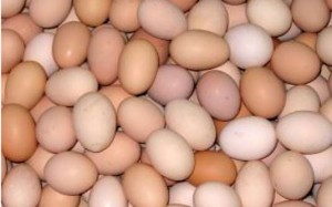 ovos