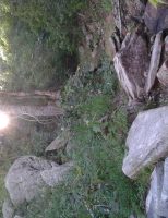 Galeria de Fotos – Sol em riacho seco