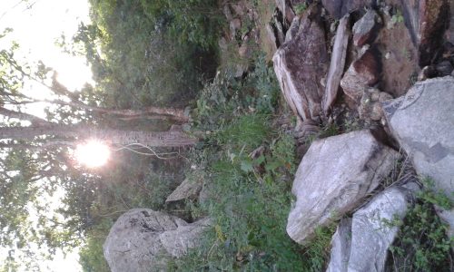 Galeria de Fotos – Sol em riacho seco