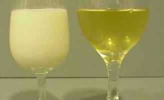 O vinho na terra do leite