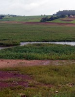 Novos alertas para os riscos de prejuízos agropecuários no Brasil