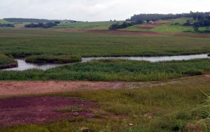 agroecológicos