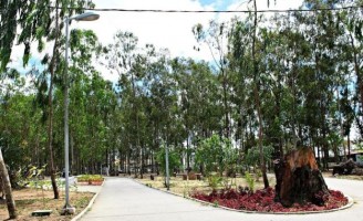 Município pernambucano cria jardineiras ecológicas para embelezar os parques