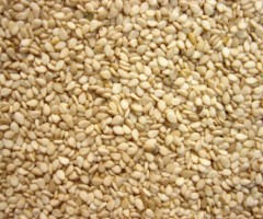 Industria de alimento aproveita mais a nova semente de gergelim branca Industria de alimento aproveita mais a nova semente de gergelim branca
