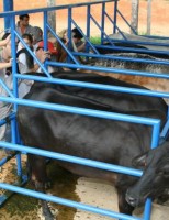 A profissão que está crescendo no agronegócio brasileiro