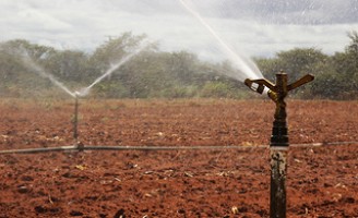 Perímetros irrigados do Vale do São Francisco vão economizar água