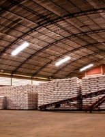 Municípios da região Nordeste terão oferta de milho a preços de mercado