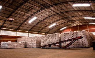 Municípios da região Nordeste terão oferta de milho a preços de mercado