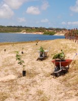 O semiárido nordestino precisa ser reflorestado para equilíbrio do meio ambiente