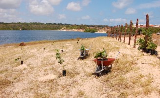 O semiárido nordestino precisa ser reflorestado para equilíbrio do meio ambiente