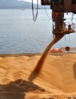 Sai o ranking dos países que mais importaram produtos agrícolas do Brasil