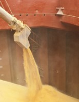 Brasil teve a maior produção de grãos e de carnes nos últimos anos