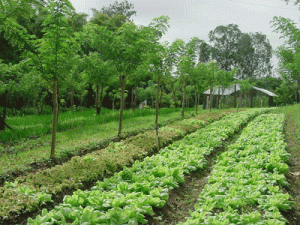 Prod_agroecol
