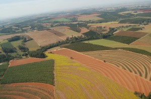 Zoneamento-Agrícola-Arquivo-Embrapa