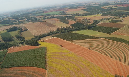<h2><a href="https://nordesterural.com.br/zoneamento-agricola-para-nove-culturas-agricolas/">Zoneamento agr&iacute;cola para nove culturas agr&iacute;colas</a></h2>O documento foi divulgado pelo Minist&eacute;rio da Agricultura, Pecu&aacute;ria e Abastecimento e vale para as culturas de amendoim, cevada (sequeira e irrigada), cons&oacute;rcio milho x braqui&aacute;ria, feij&atilde;o 2&ordf; safra, girassol,
