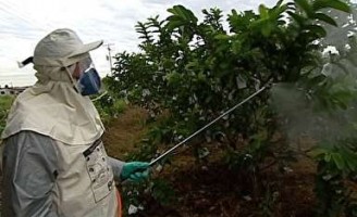 Uso de agrotóxicos pode beneficiar ou prejudicar o produtor rural