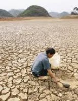 O produtor nordestino precisa aumentar os cuidados para evitar a desertificação