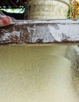 Farinha de mandioca dura mais se for bem armazenada