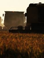 Descubra o que é e como usar a Agricultura de precisão