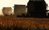 Descubra o que é e como usar a Agricultura de precisão