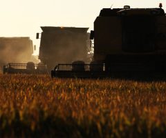 Descubra o que é e como usar a Agricultura de precisão