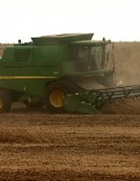 Colheita da soja chega a momentos de picos nos dois maiores produtores nacionais