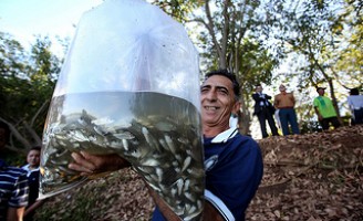 Piscicultura no Vale do São Francisco ganha 6 milhões de alevinos