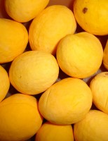 O que pode ser aproveitado no cultivo do pequi