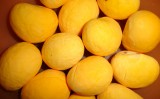 Cuidados que o agricultor deve ter para o cultivo do pequi
