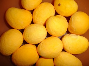 pequi_168