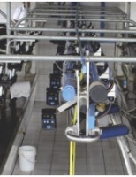 Cuidados  para se produzir um leite de qualidade