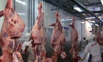 Os novos mercados para as carnes e os lácteos brasileiros
