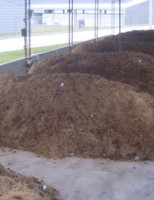 É possível fazer a compostagem de cama de equinos e ainda usar como adubo
