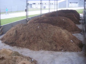 compostagem_de_cama_de_equinos