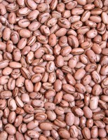 Pesquisadores melhoram as características vitamínicas do feijão
