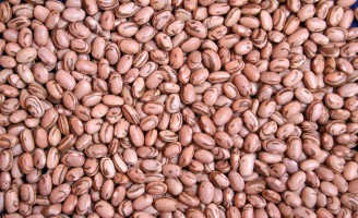 Pesquisadores melhoram as características vitamínicas do feijão