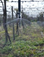 Período de escassez de água força adoção do sistema de Agricultura de precisão