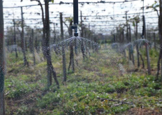 Período de escassez de água força adoção do sistema de Agricultura de precisão